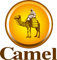 camel_logo